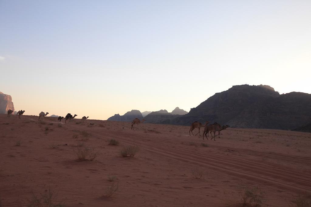 Bedouin Expedition วาดิรัม ภายนอก รูปภาพ