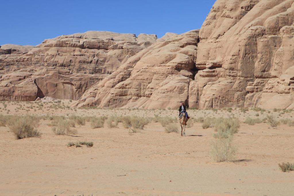 Bedouin Expedition วาดิรัม ภายนอก รูปภาพ