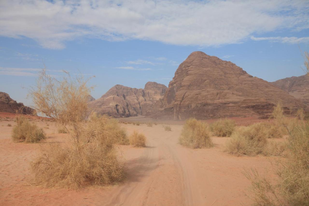 Bedouin Expedition วาดิรัม ภายนอก รูปภาพ