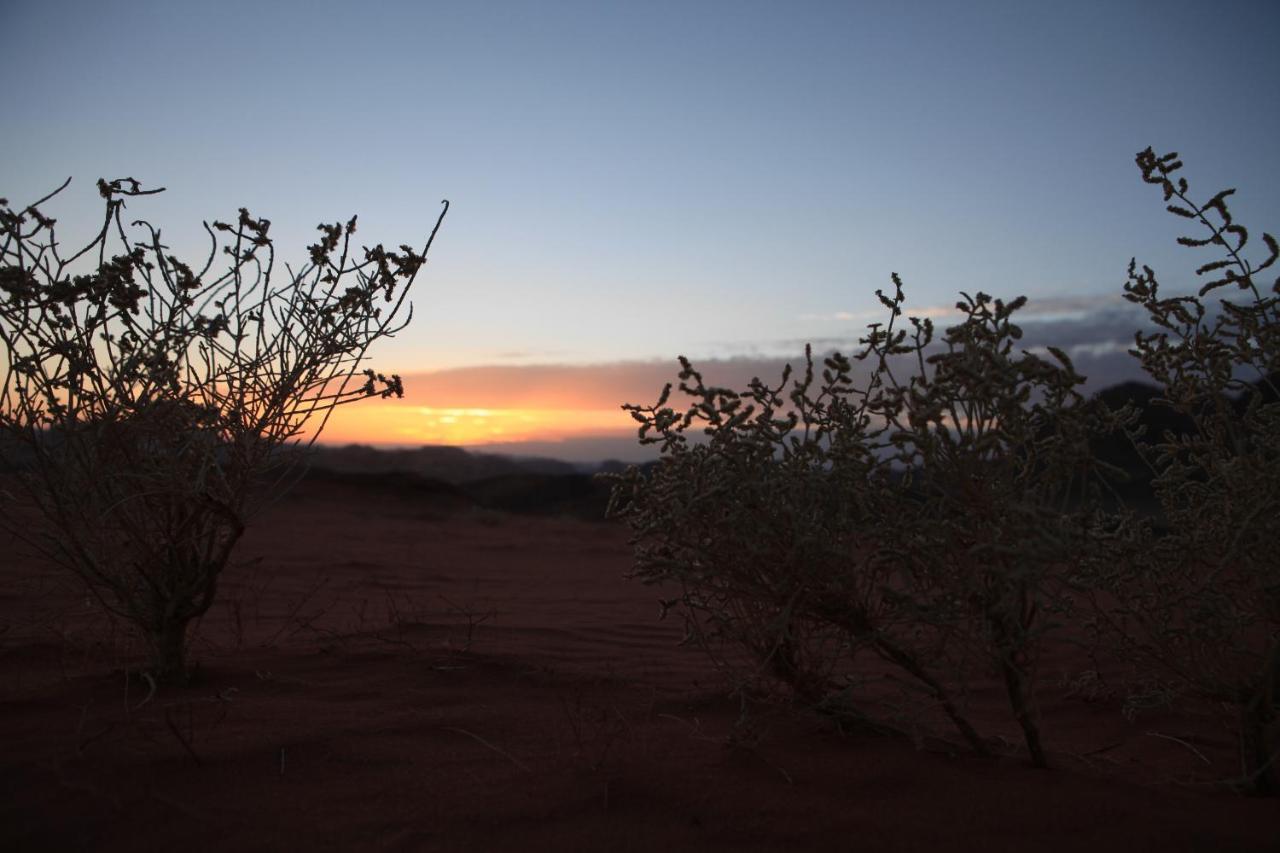 Bedouin Expedition วาดิรัม ภายนอก รูปภาพ