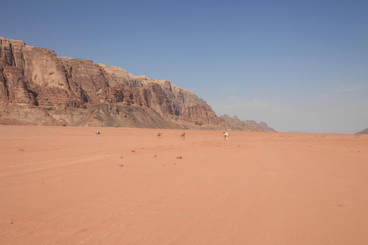 Bedouin Expedition วาดิรัม ภายนอก รูปภาพ